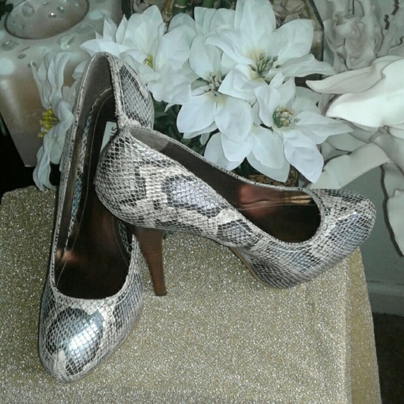 STEVE MADDEN *FLAASH* SNAKESKIN PLATFORM PUMPS - Picture 5 of 5